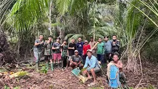 Cari Umbut Pantuk, Acara Tunangan Keluarga Di Kampung Halaman !!!!
