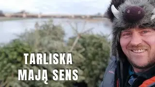Tarliska działają jak każde działanie czy Szarpakowcy