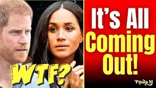 Royal Charity Expert CONFIRMS Harry & Meghan Under Investigation