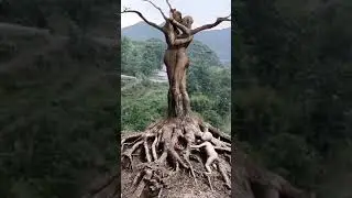 SCULPTURE OF A MAN AND A WOMAN IN A ROMANTIC STATE ON A TREE