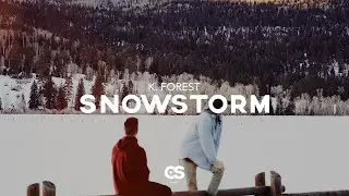 K. Forest - Snowstorm
