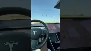 2019 Model 3 P 0-60