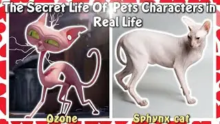 The Secret Life of Pets Characters in Real Life