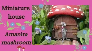 Makeover a tiny fairyhouse / Amanita mushroom