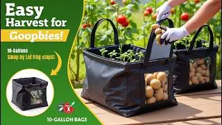 Potato Grow Bags Review 2025 &ndash; Easy Harvest for Veggies! #garden #plants #farming