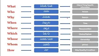 Learn Wh Question words with examples||how to ask questions in english with telugu.