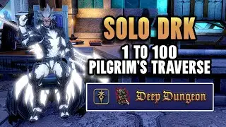 Solo Pilgrim's Traverse (Deep Dungeon) Clear 1-100 | DRK POV