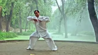 CHEN STYLE TAIJIQUAN OF MASTER ZHU TIANCAI 13 SET PATTERNS OF OLD FRAME MOVEMENTS