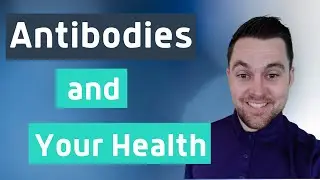 Hashimoto&rsquo;s Antibodies and What It Means for Your Health