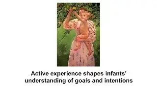 CARTA: What is Theory of Mind? Theory of Mind in Human Babies The Social Brain in Adolescence