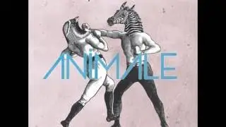 Don Diablo ft. Dragonette - Animale (Dan Castro Remix)