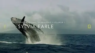 National Geographic: Symphony for Our World