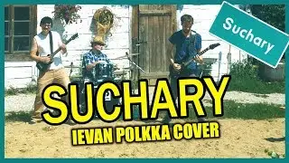 Ievan Polkka (ROCK COVER) SUCHARY || Cyber Marian, Vordrab & Kr&oacute;lowie Żyta