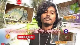 আমার পাখিদের Herbs দেয়ার জন্য কি কি result পেলাম??🤔🤔🧿(Watch full video)