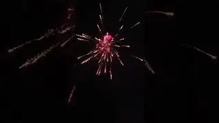 16 shot red tail to red strobe willow. ,4 aqua peony finale (blackwrap) proline #viral #viralvideo #