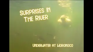 Snorkeling Surprises! Woronoco on the Westfield