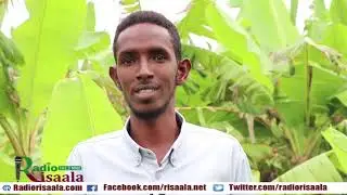 MAXAAD KALA SOCOTAA BEERAHA MOOSKA/MUUSKA EE KU YAALA JOWHAR.