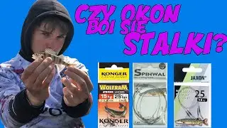 Czy Okoń Boi się stalki ?! | Favorite Blue Bird