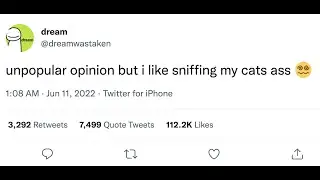 The Best Twitter Accounts