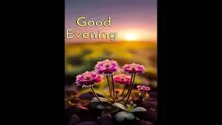 A Evning Pictures, good evening vedio, good evening pictures, good evening wishes, evening blessings