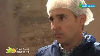 Puntata del 30/8/20 – 2° parte – Suinicoltura: “lavare” l’aria per recuperare l’ammoniaca