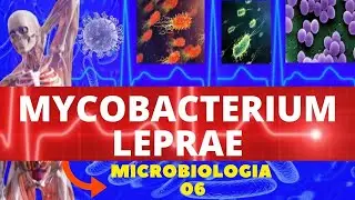 MYCOBACTERIUM LEPRAE - MICROBIOLOGIA (BACTÉRIAS PATOGÊNICAS) - HANSENÍASE