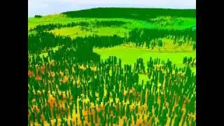 FRA Nepal Forest Lidar Visualization - Block F