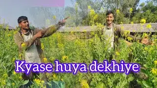 কি ভাবে হয়েছে , দেখলে তোমরাও করতে পারবে। Tumvi ase bana sakhte ho। Masterd farming। Agriculture।