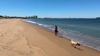 Punta del Este, Playa Mansa, Parada 30, 11.11.2025