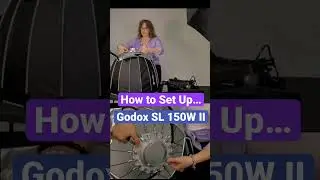 Set Up: GODOX SL 150W II / Angler 26