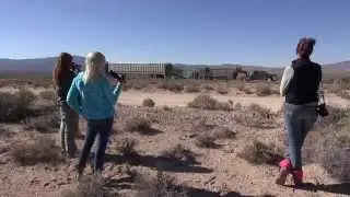 2014 Silver King Highway Nuisance Wild Horse Gather
