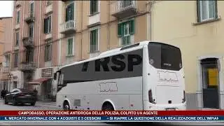 Campobasso, operazione della Polizia colpito un agente TG NEWS MOLISE DEL 04-02-26 - TRSP -