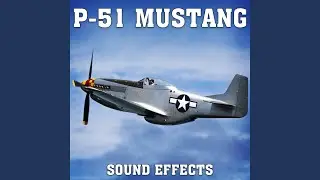 P-51 Mustang: Fly By At Various Speeds