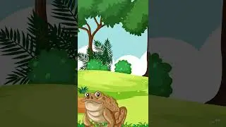 🐸 The Secret Life of Frogs! 🌿🌧️ &ndash; Amazing Facts! #animalkingdom #cartoonforkids #animal #cocomelon