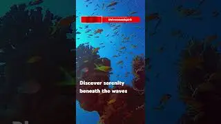 🌊 Dive Into Peace | 432Hz Ocean Sleep Journey ✨