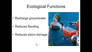 Wetlands Ecological Functions