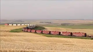 CN Train 114 on the Three Hills Sub
