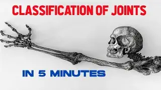 JOINTS OF THE HUMAN BODY| Joints anatomy and Classification 