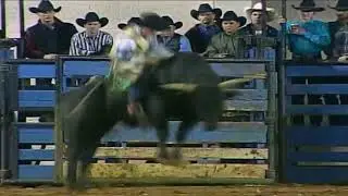 Terry Don West vs Wild Thing - 95 Bullbusters (89 pts)