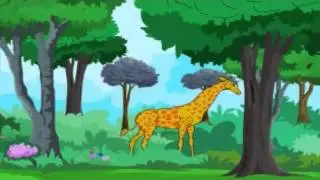 The Animal Kingdom