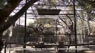 Intervención en el Zoológico de Córdoba
