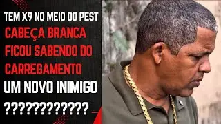 &ldquo;TRAI&Ccedil;&Atilde;O NO PEST: O CABE&Ccedil;A BRANCA J&Aacute; SABE DE TUDO!&rdquo;