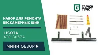 Licota ATR-3067A Набор для ремонта бескамерных шин
