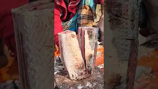 Wow😱Big Sea Fish Special Cutting Skills #viralvideo #viral #shorts