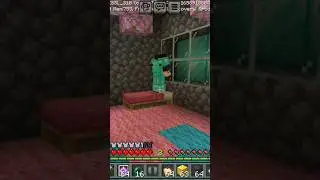 #minecraft attitude#ninjaspider