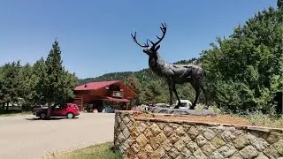 Eşsiz Doğa Güzelliği Başkonuş Yaylası’nda Eko Turizm Başladı