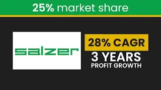 Stock analysis of Salzer Electronics Ltd