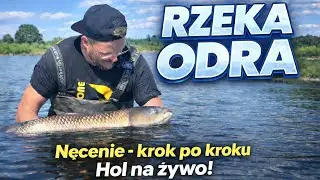 Karpiowanie na rzece Odrze ! Branie i hol amura na żywo ! Nęcenie krok, po kroku #wędkarstwo