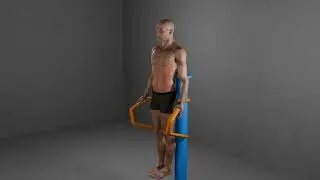 How to do leg raise Dip Station | Flex Form Fitness