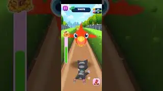 Pet cat game😍🥰👀